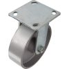 6 Inch Cast Iron Rigid Caster, 900-lb Load Capacity