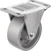 2 pouces rigid plate Cast Iron Caster, 125-lb Capacité de charge